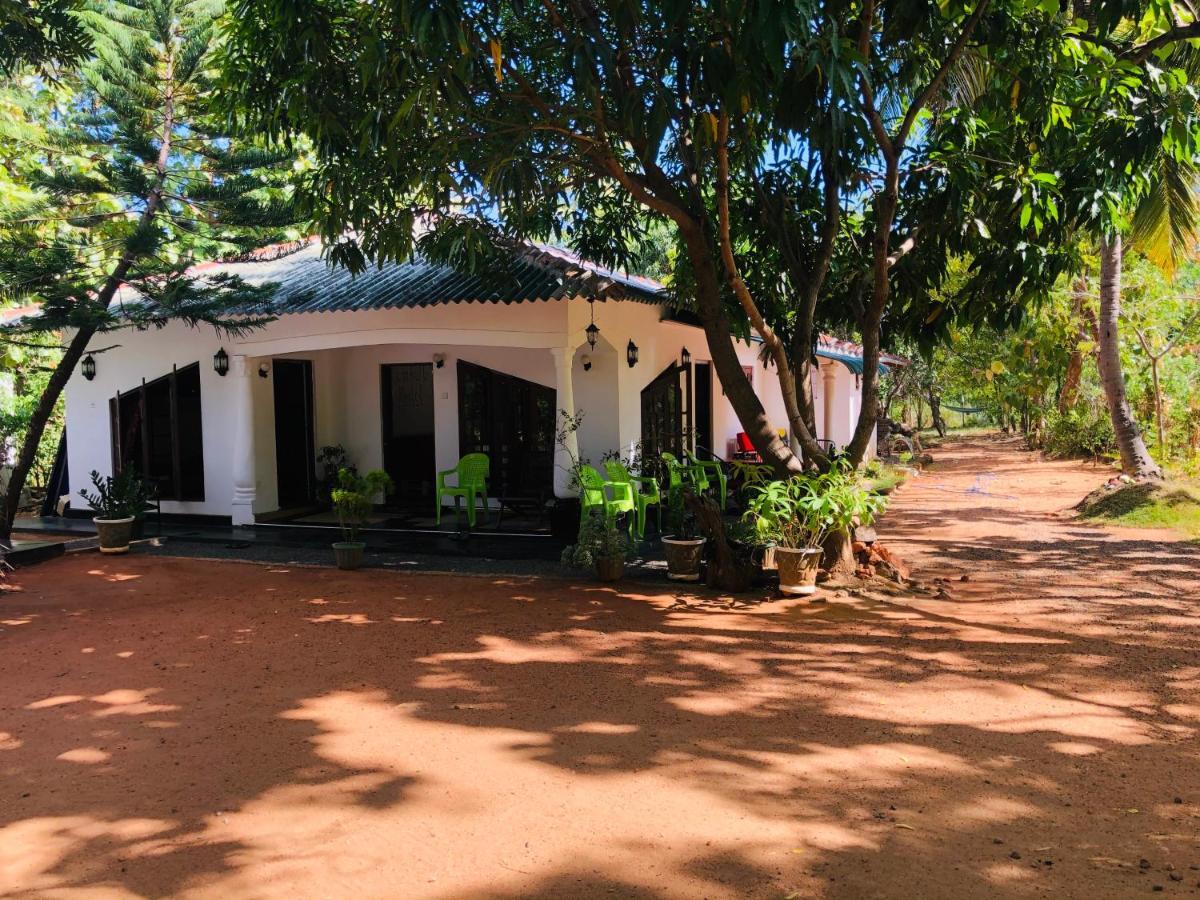 Dambulla City Hostel Exterior photo