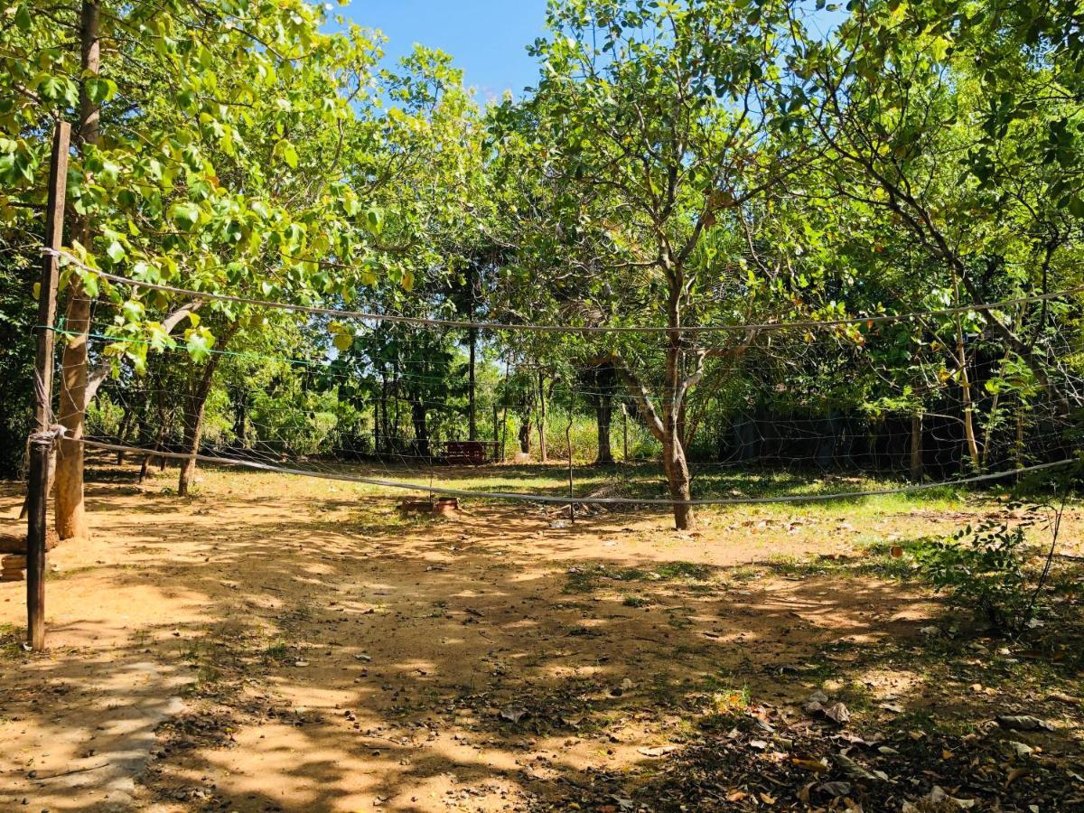 Dambulla City Hostel Exterior photo